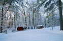 20071228_094054 D2X F